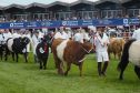 The 2020 Royal Highland Show has been cancelled.