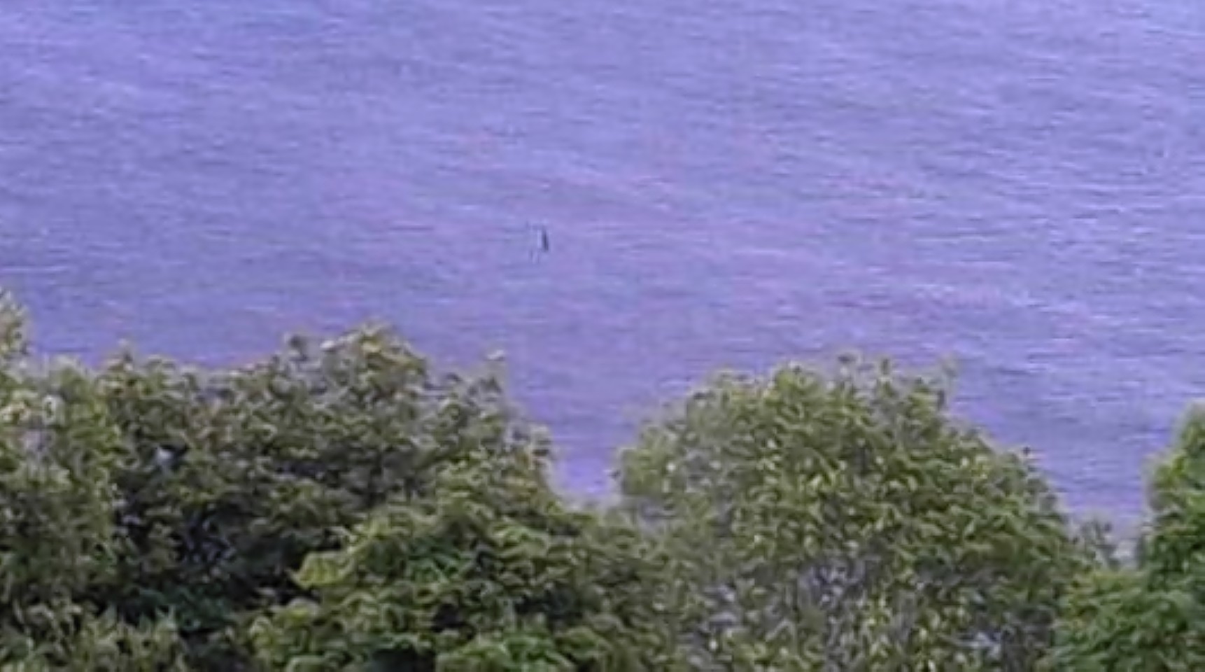 Another proposed sighting of Nessie