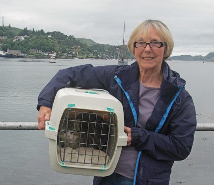 Jean Sutherland with the stowaway cat. Image: Kevin McGlynn.