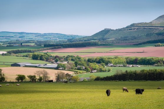 Pitlochie Farm