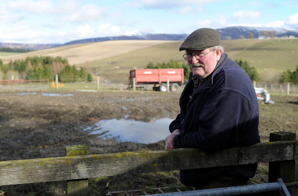 Dozens of Alastair Nairn's lambs fell victim to ravens on his Glenlivet farm this year.
