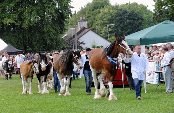 The majority of the horse classes at the Banchory Show will be judged at a new show field.