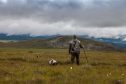 Corriegarth grouse count