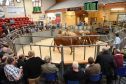 Cattle go through the sale ring at a previous sale