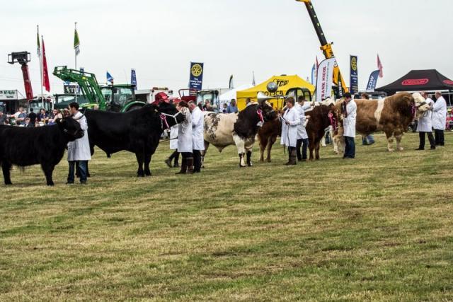 Nairn Show Listical Picture
