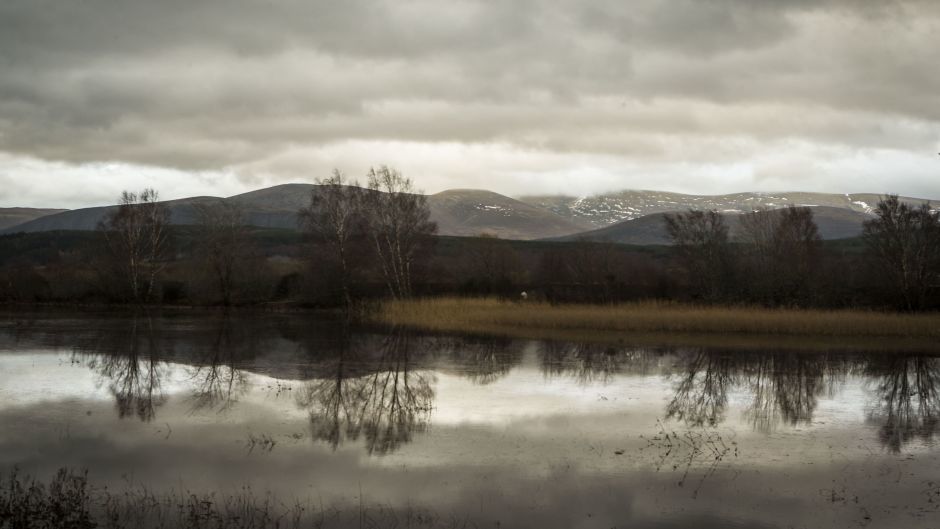 There have been calls to establish more parks like the Cairngorms National Park