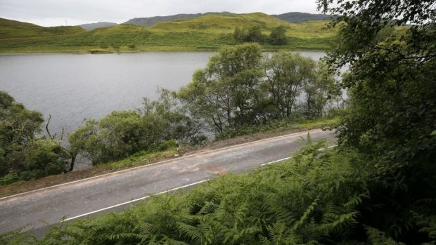 The council have been accused of not maintaining hedgerows