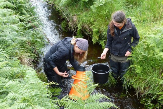 Dr Diane Baum and Lucy Ballantyne collecting Scottish pearl mussels in an Ardnamurchan burn. Picture: Jon Haylett