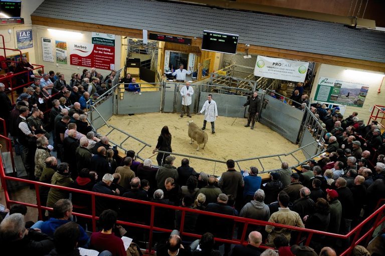 Dingwall Mart prepares to sell record entry of hill type North Country