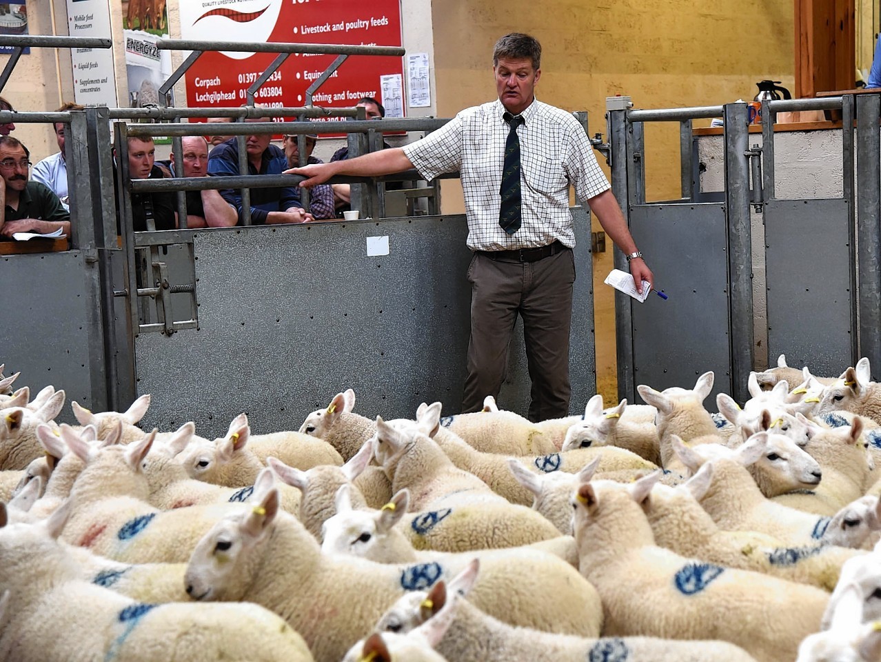 Ian Tolmie from Dingwall and Highland Marts at last year's sale