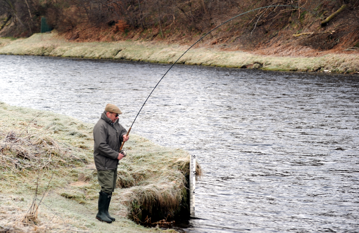 Fishing at Kinermony Estate on River Spey at Aberlour.
