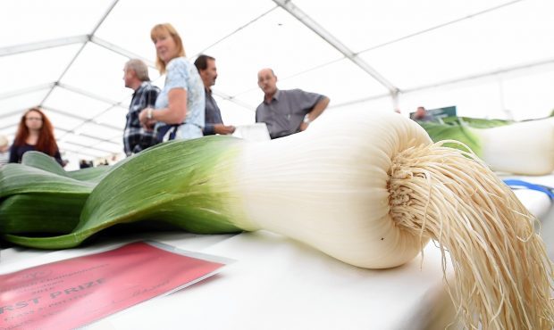 A north-east flower show is in danger