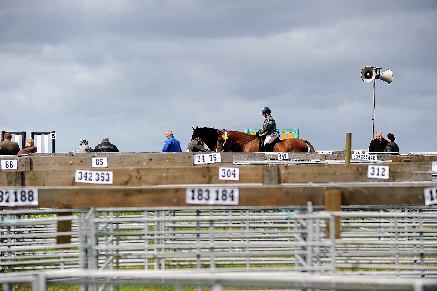 The Keith Show 2016 - Horse and rider go past empty pens 