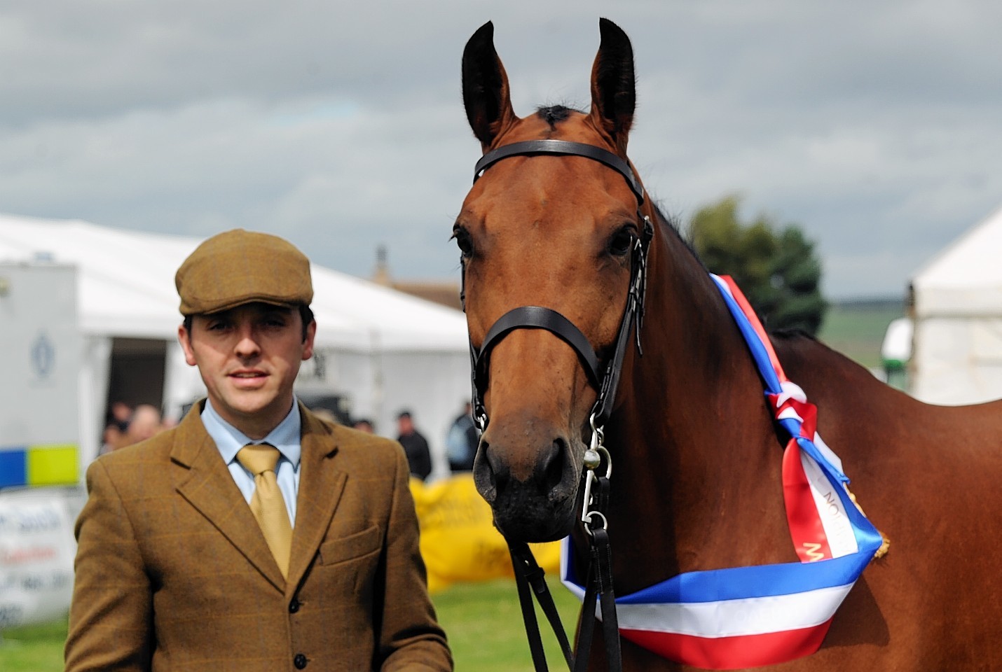 The Keith Show 2016 - The supreme champion horse, 'Sapphires and Diamonds' with handler, Tom Marshall.