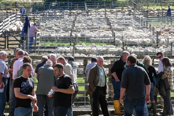 Brexit uncertainty could force some farmers to retire