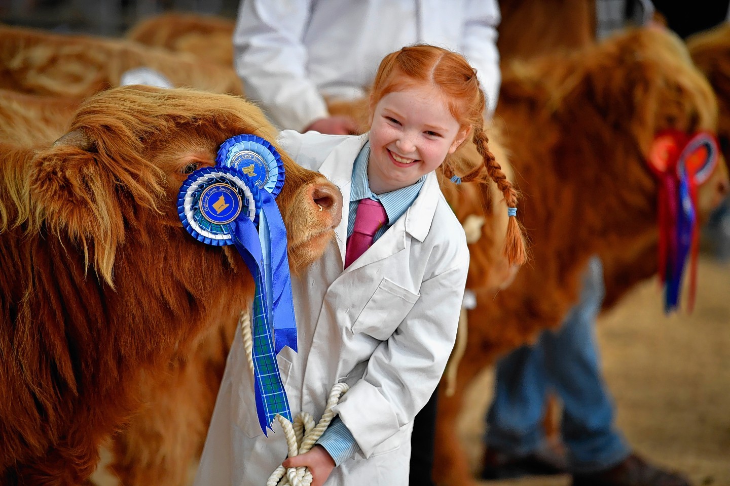 Eight-year-old Kate Cameron stands with Abernethy at the Oban sale