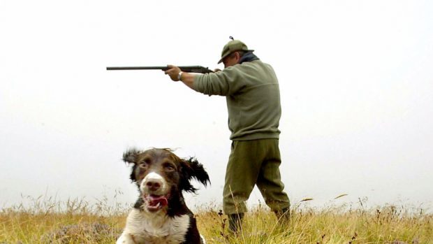 Scottish Grouse estates have helped generated revenue amid pandemic