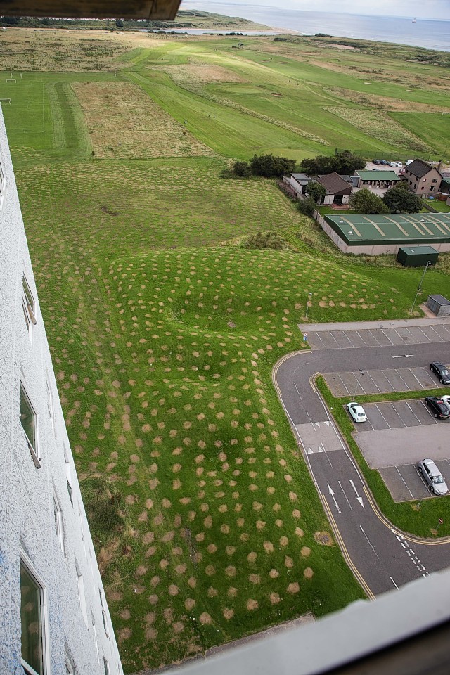 The spots in the grass can be seen from high-rises at Seaton