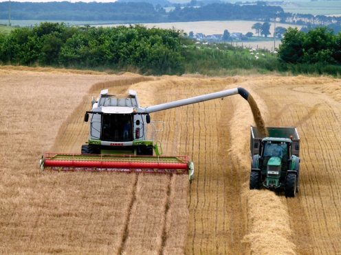 Cereal production is back 11% this year