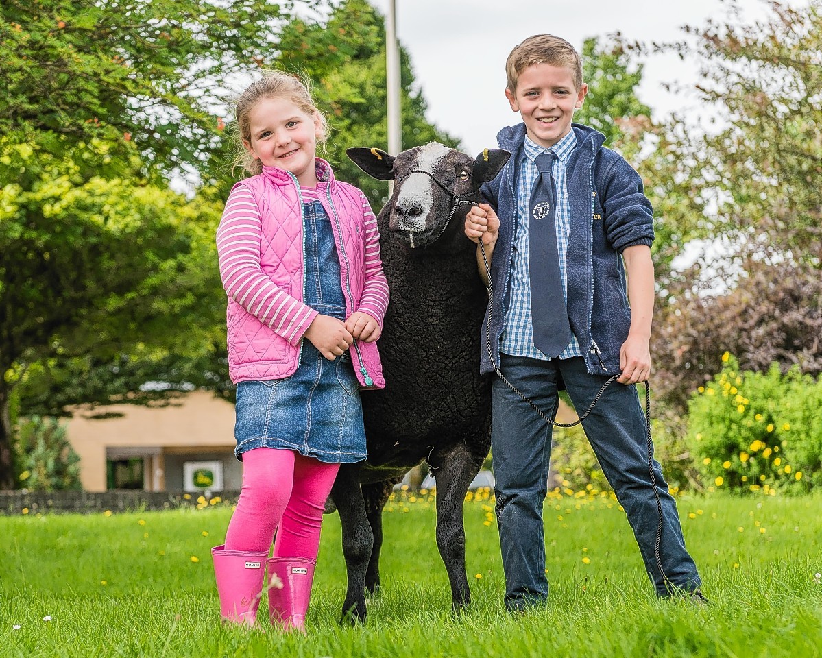 Isla and Thomas Goldie with their top priced shearling ram