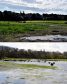 After and before: top picture shows the wetlands today. Bottom shows it in April before the project commenced