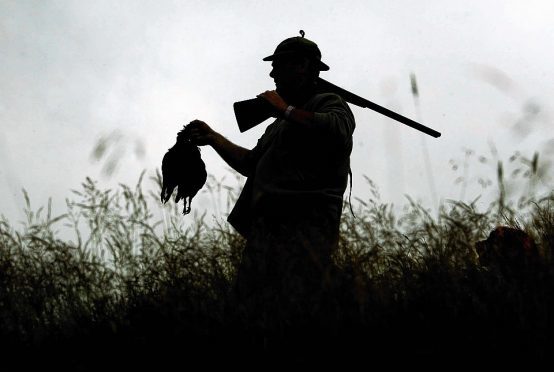 BASC wants a Scottish gamekeeping taskforce to be established by the next Scottish Government.