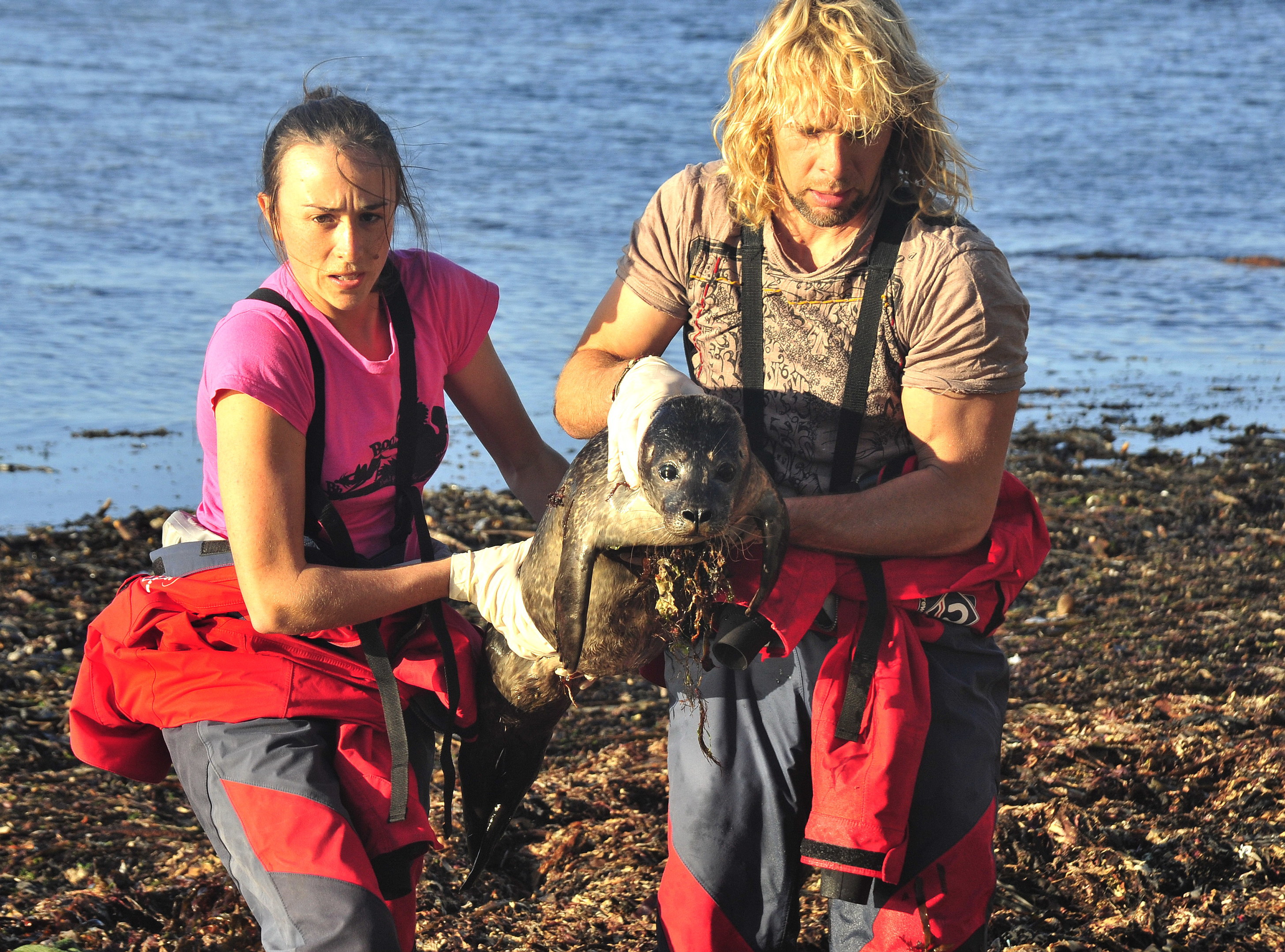 The Cetacean Research and Rescue Unit at work. Credit: Kevin Robinson.
