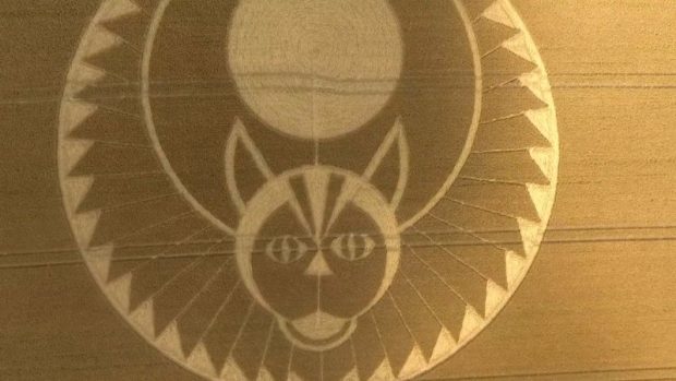 VIDEO Crop Circle Enthusiast Spends Months Photographing Patterns As   111 620x349 