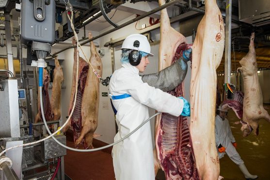 Abattoirs have until the end of August to contribute to the study.