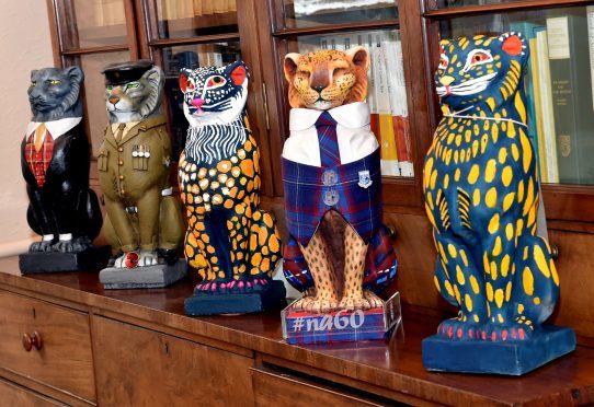 Kelly's Cat sculptures are to be auctioned for charity. Pics by Colin Rennie.