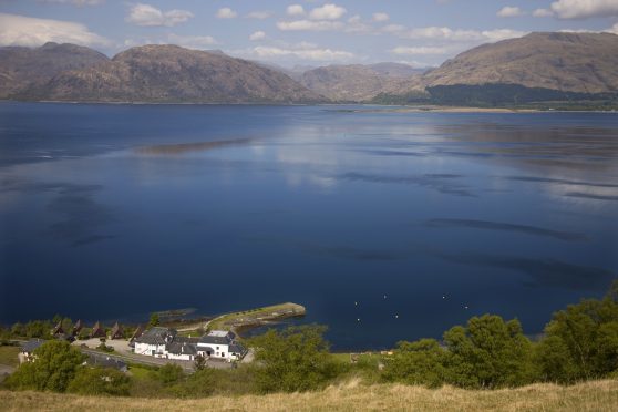 The local company, based at Garvan near Fort William, want to grow them at Loch Linnhe for a year then transfer them to their sites at Loch Eil