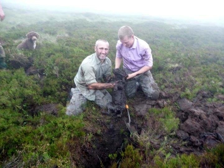 Gamekeepers Jonny Stevenson and Callum Low pulling Jazz out of hole. See Centre Press story CPHOLE; These dramatic pictures show a brave gamekeeper climbing head first into an underground pipe to rescue a dog who went missing on an Angus moor. Cocker spaniel Jazz disappeared while picking up game during a grouse shoot at the Invermark Estate on Tuesday. She was eventually found down a muddy open pipe on the moor. Gamekeepers dug through 6ft of wet peat to retrieve her Jonny Stevenson pushed himself down the pipe to check on the spaniel's condition.