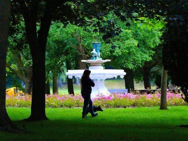 light-and-shade-the-ornamental-fountain-in-seaton-park-is-dramatically-framed-by-trees