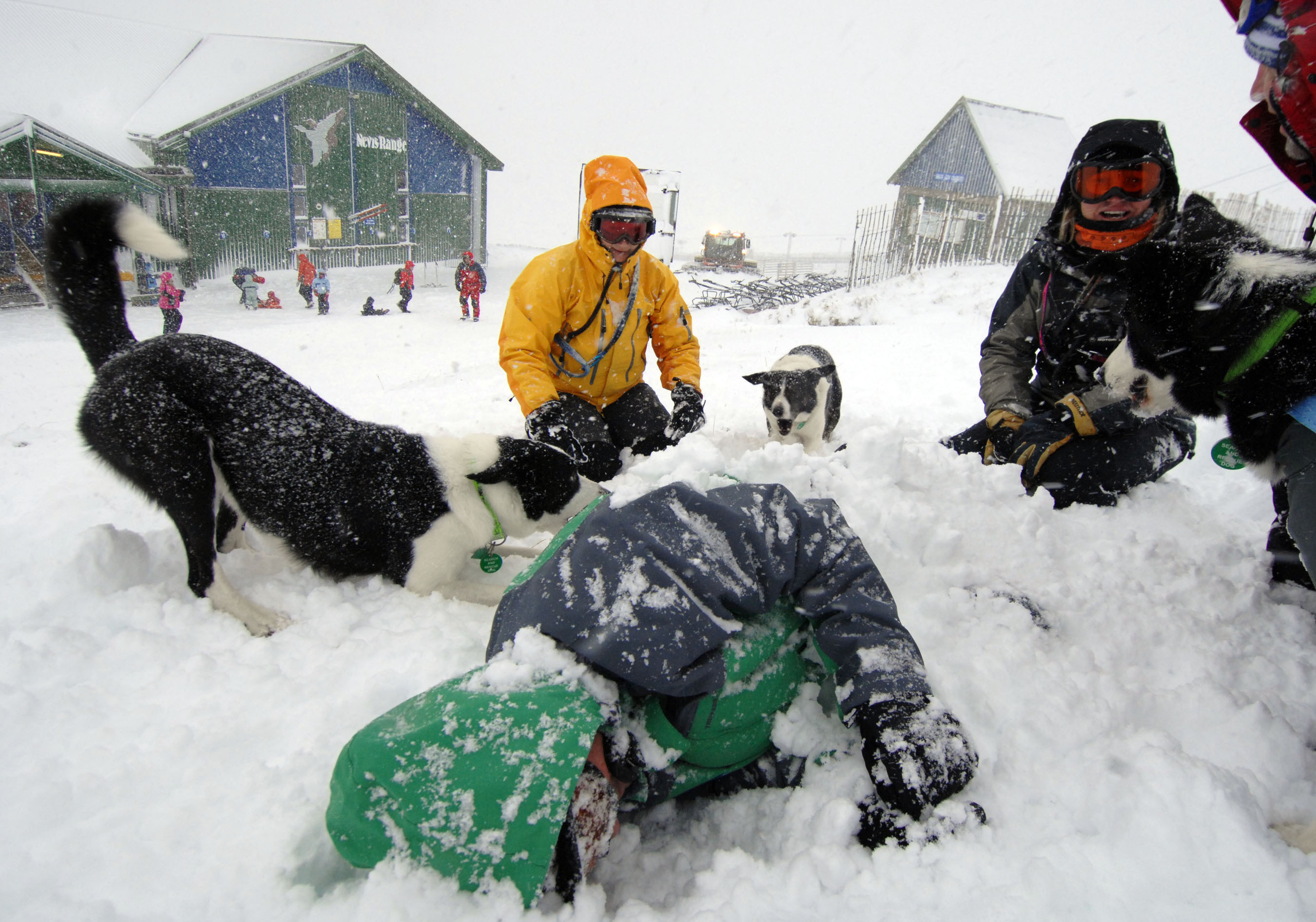 Member of the Search and Rescue Dogs Association (SARDA) Scotland taking part in a training exercise at Nevis Range