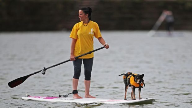 A paddleboarder and her dog on a lake