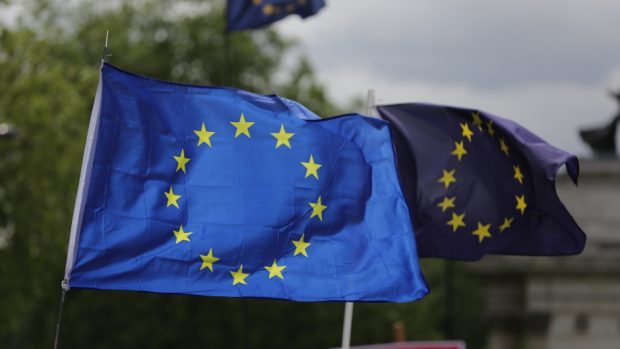 The ERS said 'glaring democratic deficiencies' in the European Union referendum campaign left voters feeling disengaged