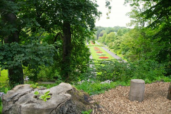 Seaton Park, Aberdeen