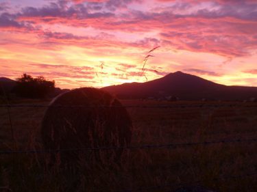 View towards Bennachie