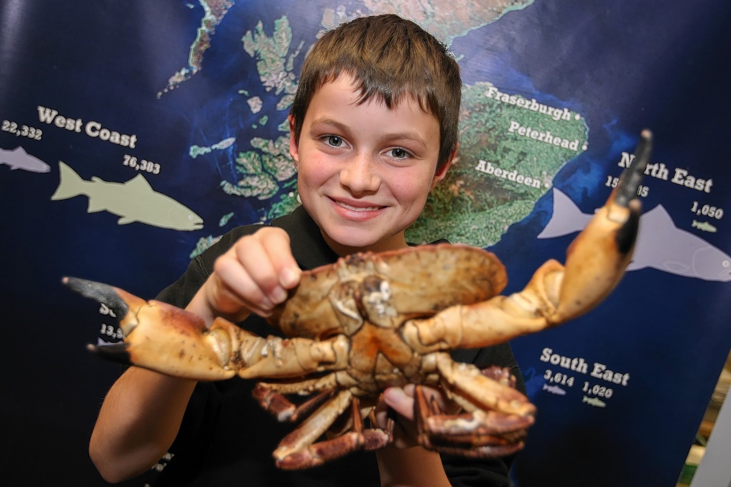 Ford McEwen, 12, with a large live crab.