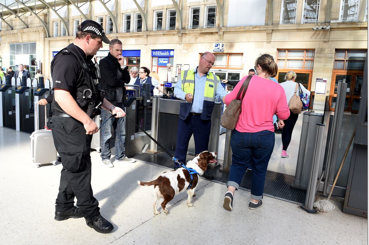 A sniffer dog was searching train passengers (Picture: Jim Irvine).