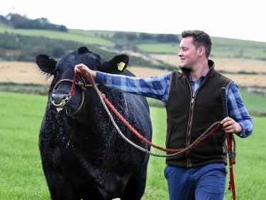 Mark Wattie with one of the bulls heading to the sale