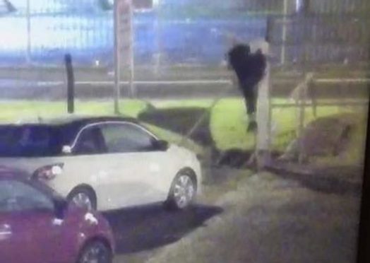 The alleged vandal was caught on Murray Motors CCTV.