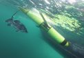 Submarine Seaglider being recovered, accompanied by a rare Atlantic Wreckfish (possibly one of the first photographs of this species in its natural habitat in UK waters)