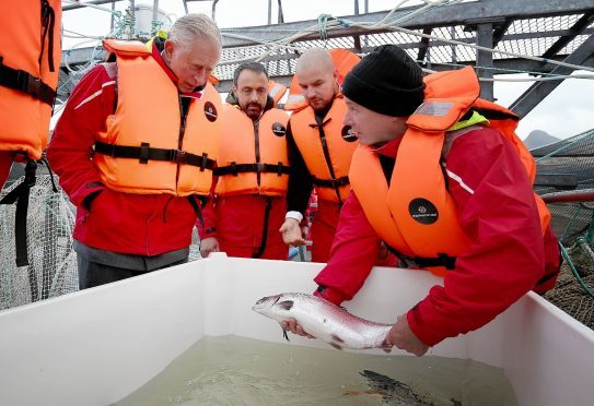 Prince Charles at the fish farm