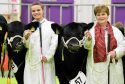 Hayley Massie (left) with the bull calf champion, and Susan Johnstone with the reserve.