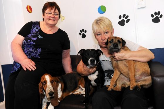 Esther Riddell, left, and Meg Grant, right, feared they would no longer be able to care for dogs.