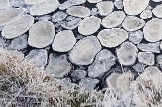 Rare ice pancakes on River Helmsdale at Helmsdale Strath in Sutherland by amatuer photographer Dan McLeod.