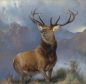 The Monarch of the Glen is to go on show in Inverness