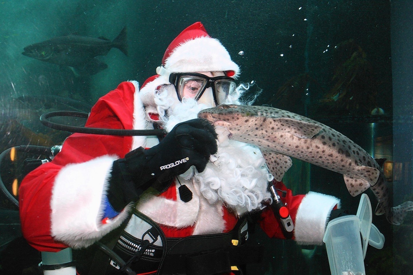 Santa's set for another underwater visit to the north-east.