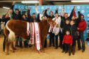 Scottish exhibitors at the Welsh Winter Fair celebrate Tip Top's win.
